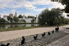 Новодевичьи пруды: тихий уголок в сердце Москвы